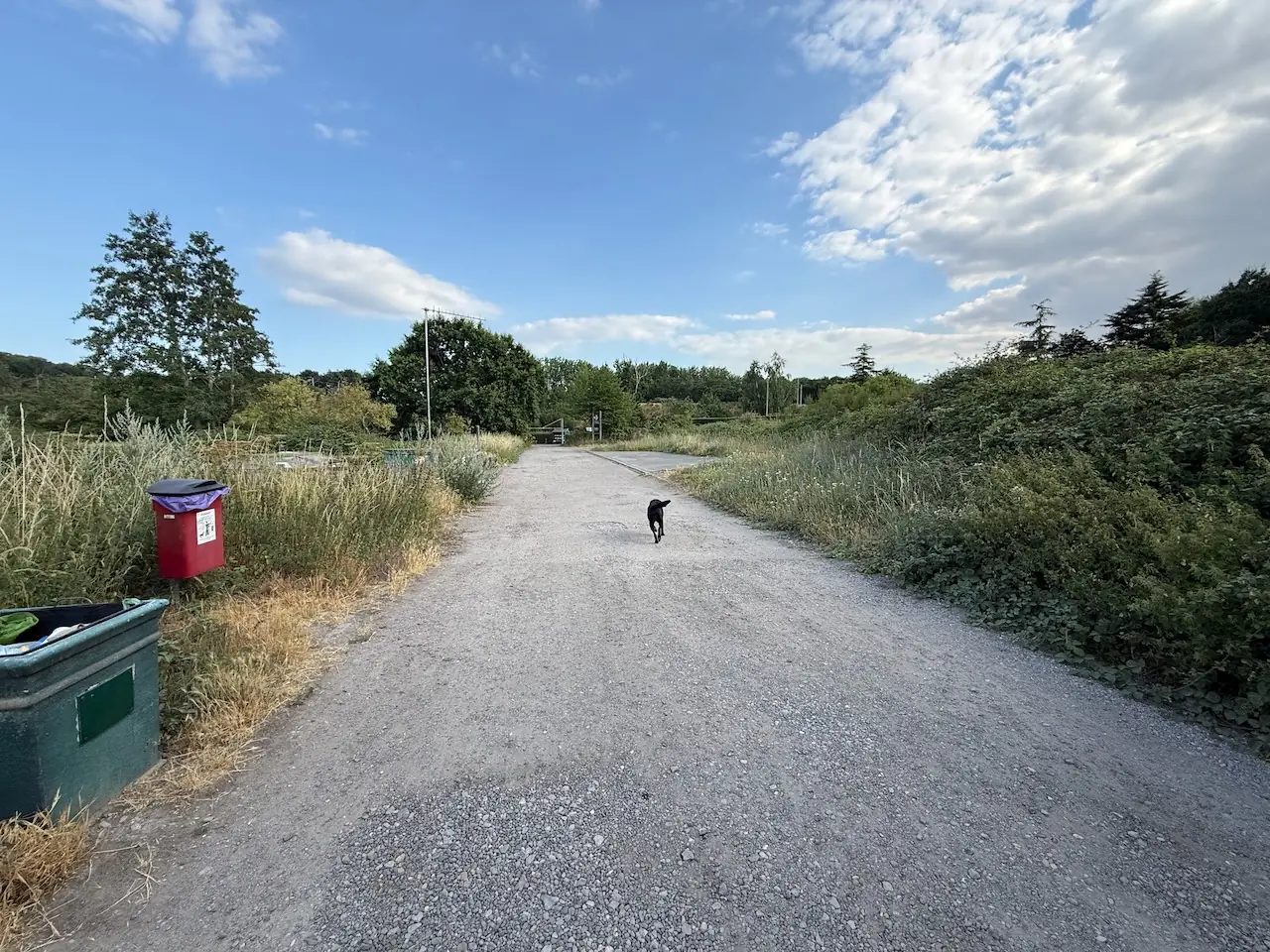 Dog waste and litter bins at the entrance